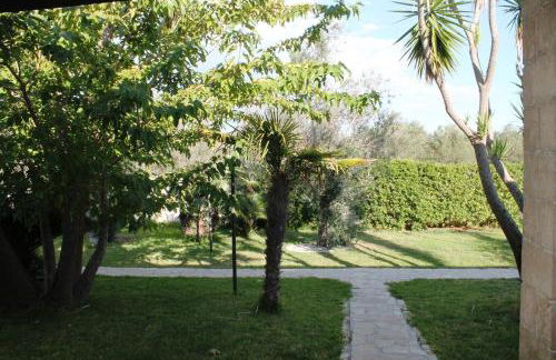 Vecchio Ulivo - Foto 17