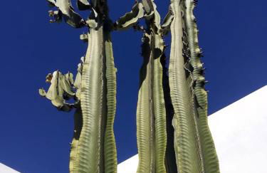 Casa Azmira del Mar - Foto 15