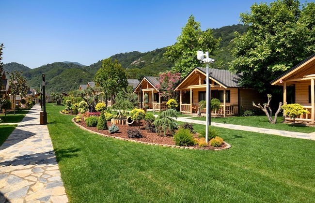 MUKHA ORMANLİ - Photo 39