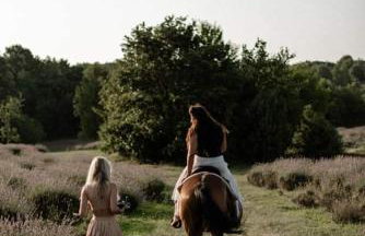 Golden Valley apartment & ranch - Foto 33