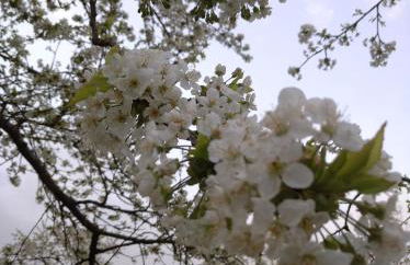 FEWO Adelhardt Harald - Foto 11