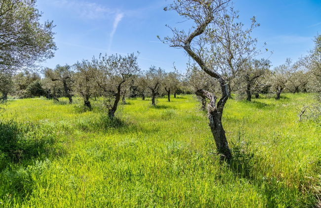 Sardinia Re - Casa Baingio - Foto 9