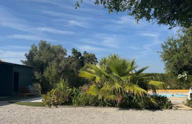 Casa dos Sobreiros - Foto 31