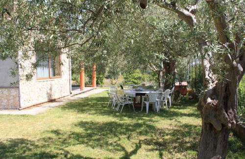 Il Melicucco - Foto 15