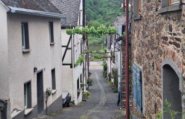 Moselburgblick - Foto 18