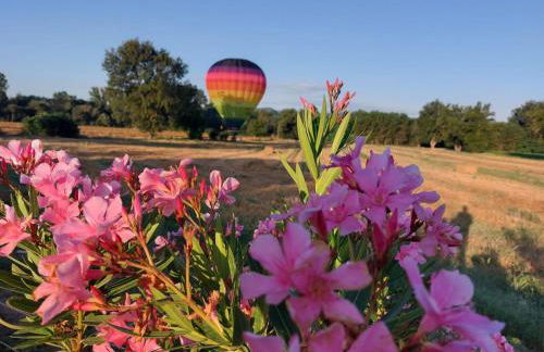 Agriturismo Villa al piano - Foto 25