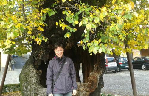 Casa Luciana - Foto 21