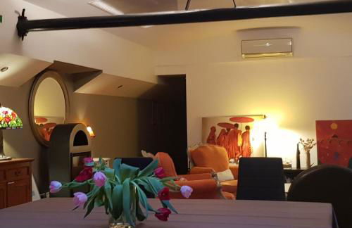 Péniche Amboise Maison d'Hôtes Flottante Toulouse Centre - Foto 54