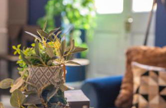 Charming 1 Bedroom Near Gravesend Station - WiFi - Foto 4