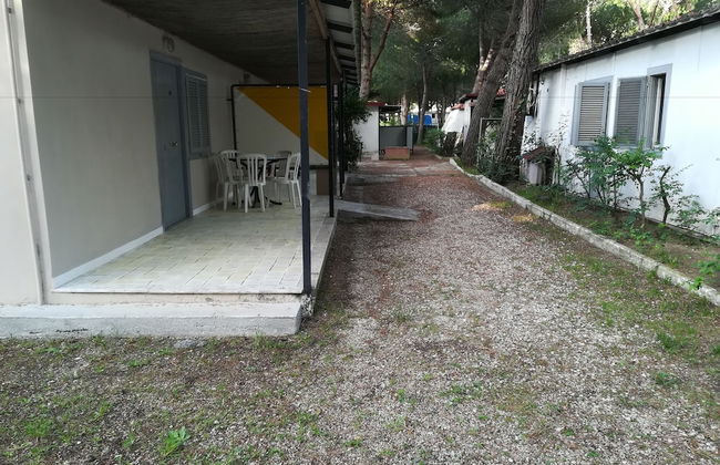 Parco delle Viole - Foto 47