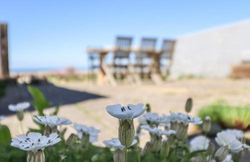 Glan Y Mor Borth - Photo 18