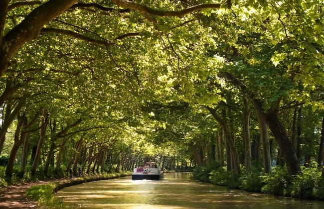 Iles du Gua Suites - Photo 58