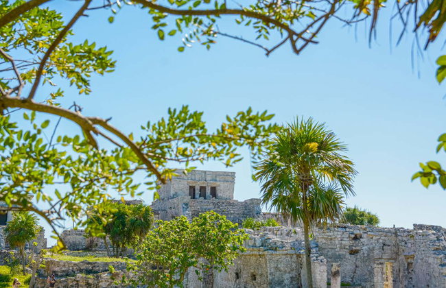 Tulum & Akumal Day Trip + Snorkelling in a Mayan Cenote - Foto 8