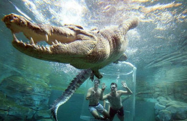 Zen Ocean Charm 3BR Luxury W Front Apt Pool BBQ - Foto 25