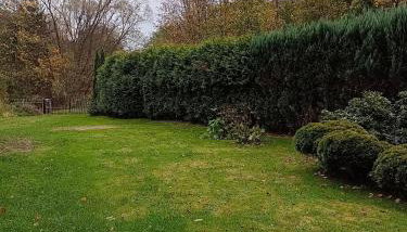 Słoneczny dom - Foto 4