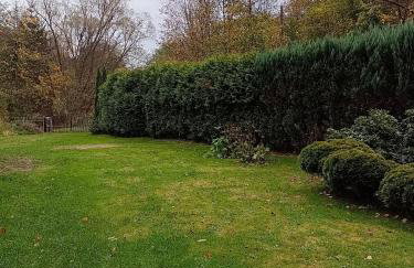 Słoneczny dom - Foto 4