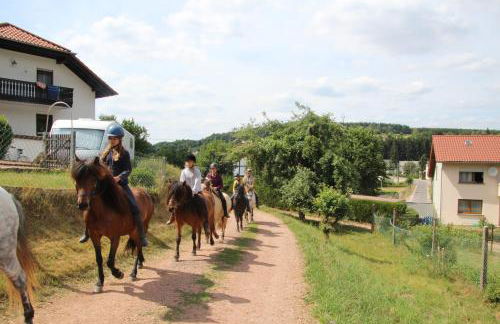 Ferienwohnung Schwarzhof Hahnekräh am Bostalsee - Foto 15