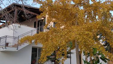 LA CASA DEL NOCE - Foto 3