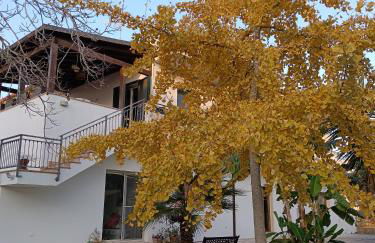 LA CASA DEL NOCE - Foto 3