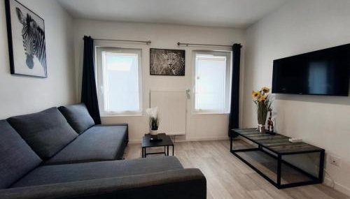 Grand Studio Lumineux Proche Centre-Ville - Foto 4