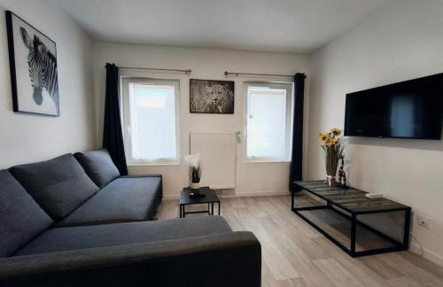 Grand Studio Lumineux Proche Centre-Ville - Foto 4