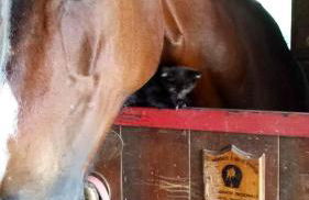 Lavish Holiday Home in Playa Blanca With Pool & Seabeach Nearby - Photo 86