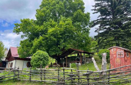 guesthouse LIPA - Foto 46