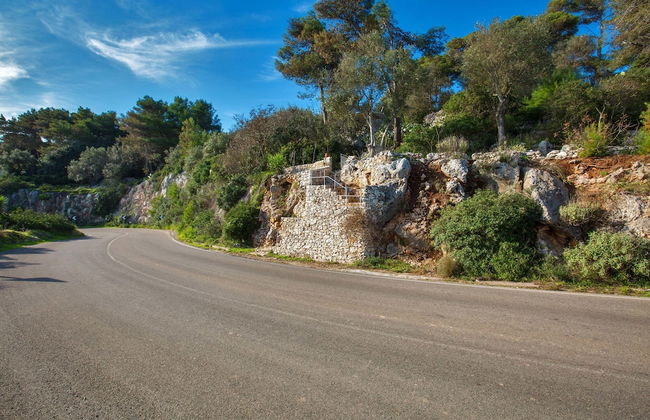 Pajara Acquaviva - Foto 13