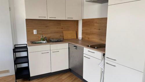 1-Zimmer Apartment, Zentraler Lage - Foto 5, dishwasher
