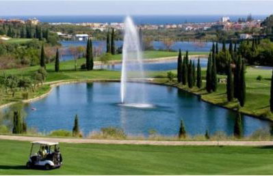 Noctua Flamingos 027 - Photo 29