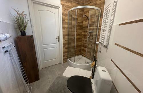 Apartamenty Paszkówka - Foto 52