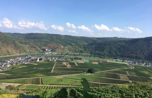 Ferienwohnungen Fuhrmann-Burg - Foto 57