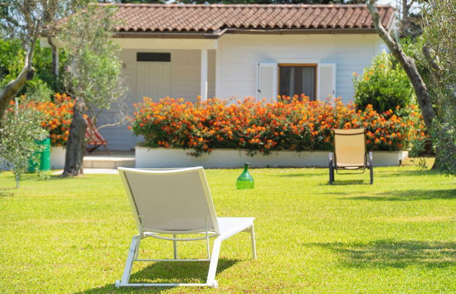 AGRITURISMO SCALELLE - Photo 32