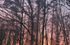 Romantisches Waldhaus mit Privatsauna, Grill und Feuerschtelle - Foto 18