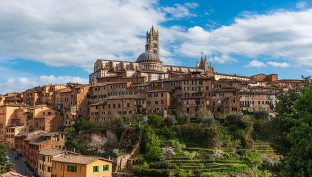 Tour privado por Siena - Foto 2