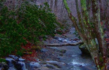 Roaring Creek - Photo 25