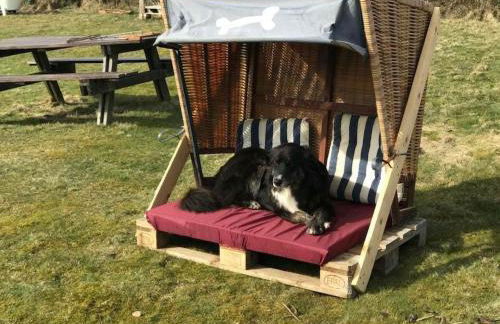 Hüs Sanskiin Ferienwohnung *Driiwholt* - Foto 8