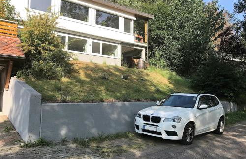 Hochschwarzwald Ferienwohnung - Foto 15