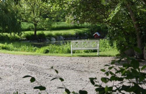 Muschelkorb - Foto 9