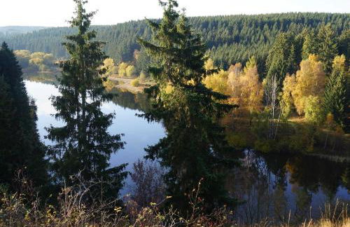 Ferienhaus am Wald - Einzelstandort mit Wallbox - Foto 17