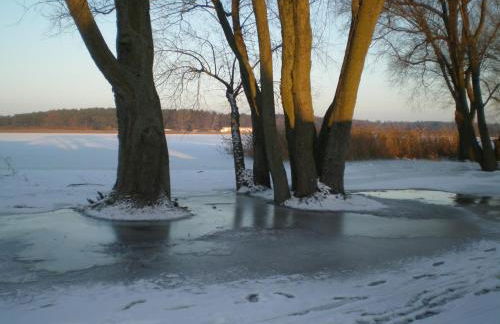 Ferienwohnung Borchert - Foto 53