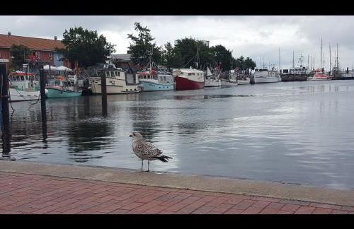 NEU! Ferienwohnung Amrum - Foto 14