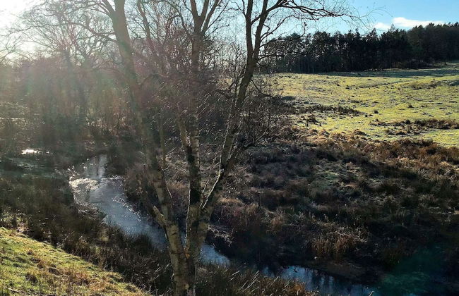 Holiday Home in Holstebro - Foto 18