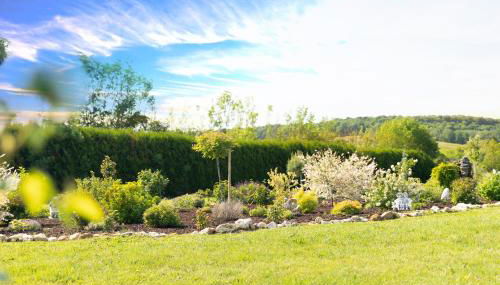 Gite L'orchidée - Foto 3, Garden view