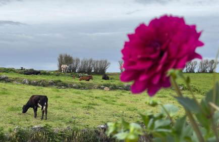 Nascer Do Sol Retreat Villa - Photo 42
