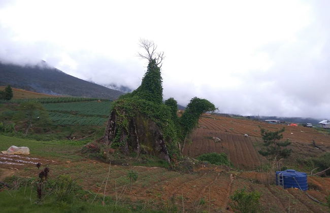 Mesilau Mountain Retreats - Foto 29