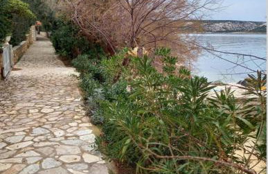 APARTMANI KATJA - Photo 5