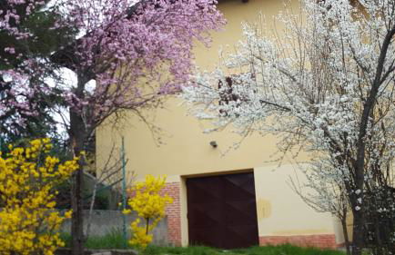 Allevamento B&B - Foto 79