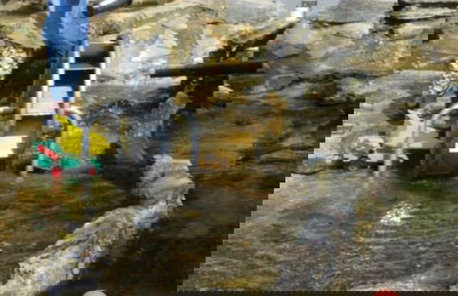 Daumler "house Am Weisswald" - Foto 20