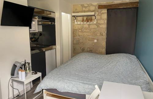 Studio Indre climatisé, La halte de Cuzé, aux abords de la Loire à vélo - Foto 23